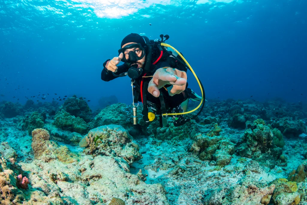 A scuba diver swimming near colorful coral reefs with tropical fish in Hikkaduwa.