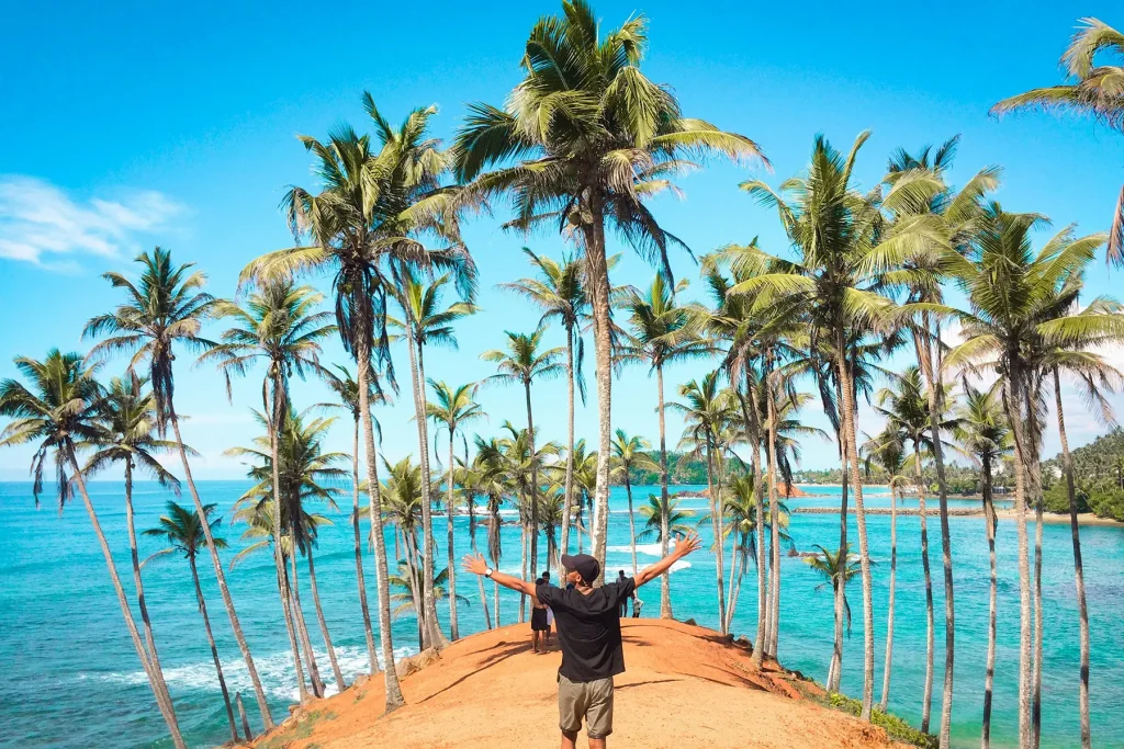 coconut tree hill mirissa sri lanka