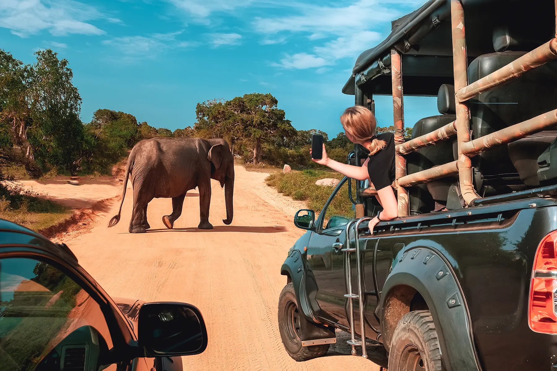 jeep safari elephant encounter sri lanka