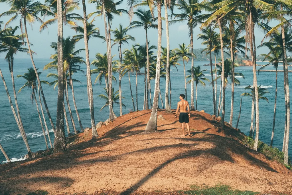 walking on coconut tree hill mirissa