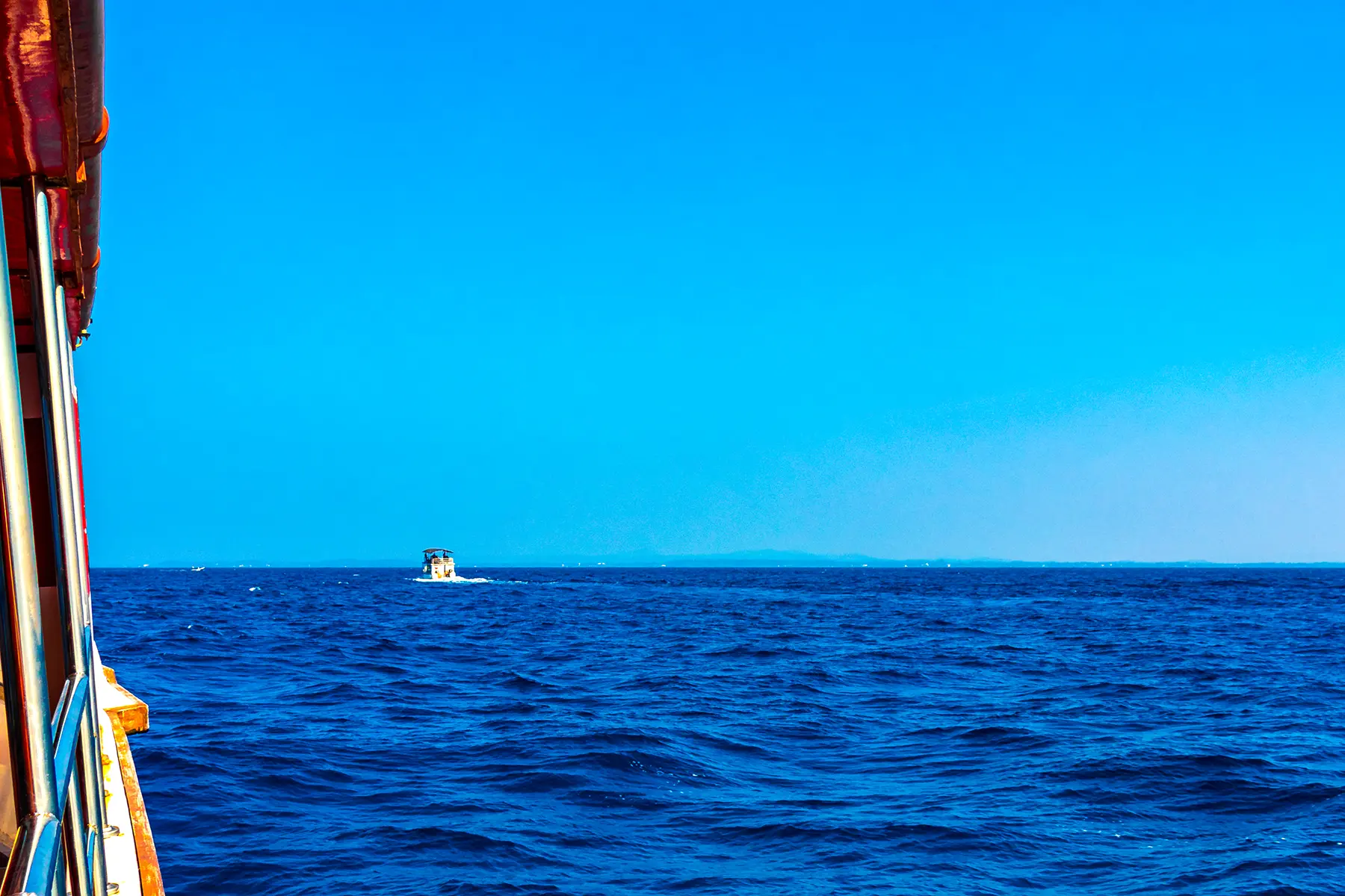 mirissa whale watching boat sri lanka